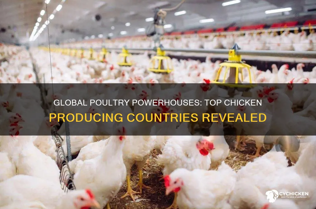 who produces the most chicken in the world