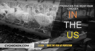 US Raw Chicken Production: Who's Leading the Flock?