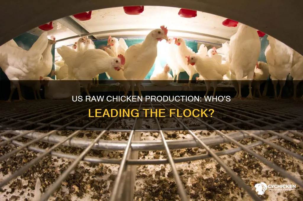 who produces the most raw chicken in the us