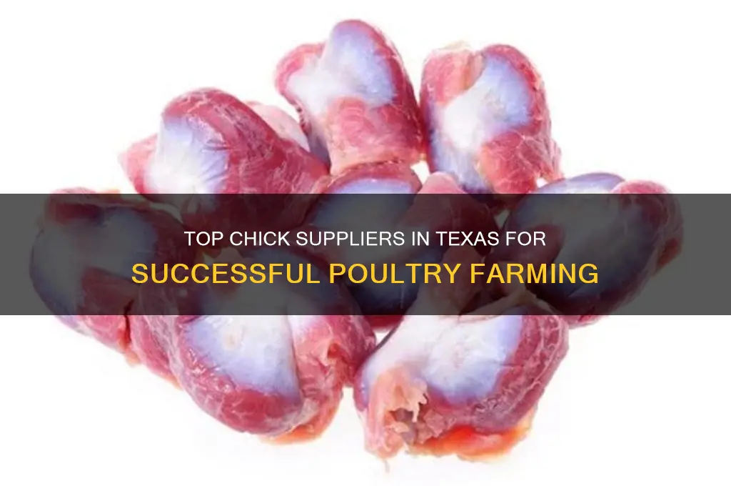 who providing chick in taxas for poultry farming