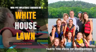 Mystery Unveiled: Who Placed the Inflatable Chicken on White House Lawn?