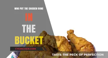 Who Put the Chicken Bone in the Bucket? Unraveling the Mystery