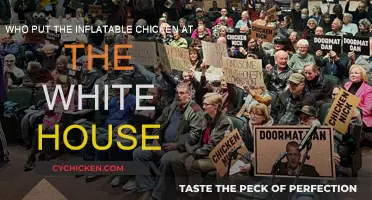 The Inflatable Chicken Mystery at the White House