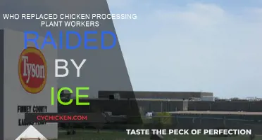 ICE Raids: Who's Replacing Chicken Plant Workers?