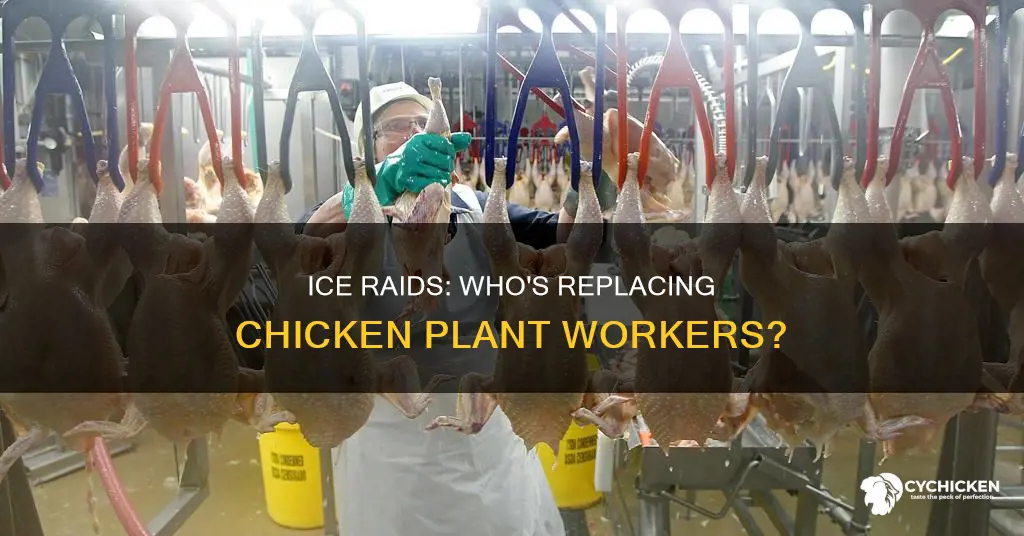 who replaced chicken processing plant workers raided by ice