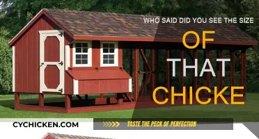 Huge Chicken: Witnessing Nature's Magnificence