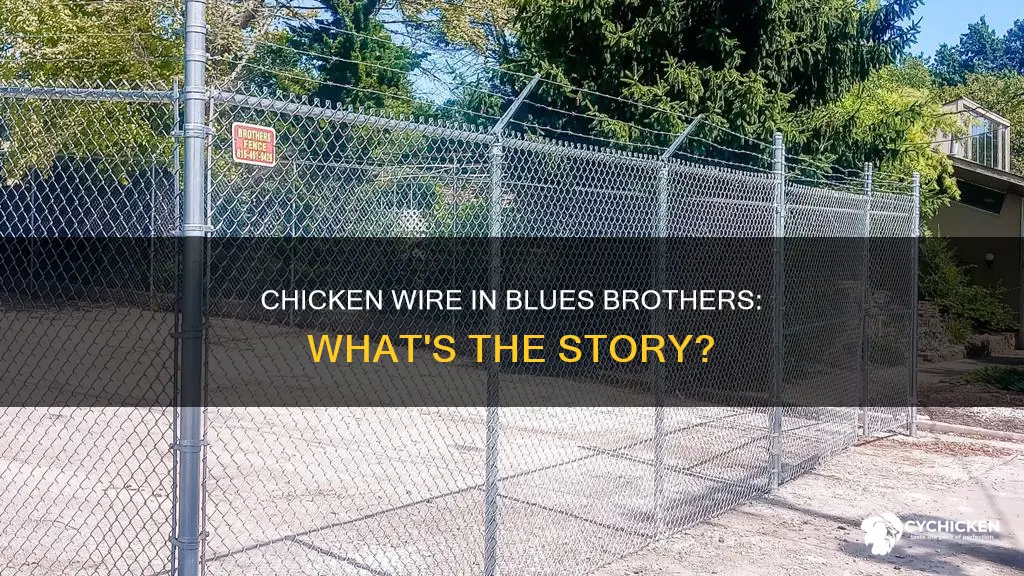 who said whats the chicken wire for blues brothers
