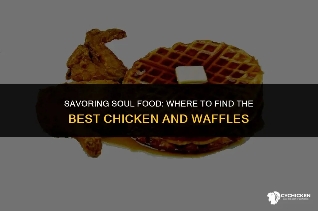 who sale chicken and waffles