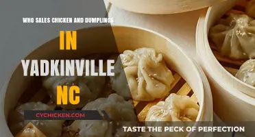 Discovering Yadkinville's Best Chicken and Dumplings: A Local's Guide