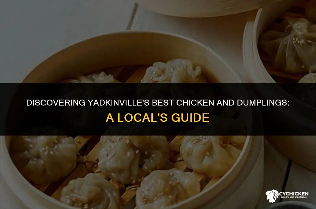 who sales chicken and dumplings in yadkinville nc