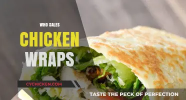 Who Sells the Best Chicken Wraps: A Comprehensive Guide