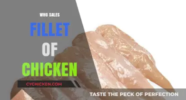 Who Sells the Best Fillet of Chicken: A Comprehensive Guide