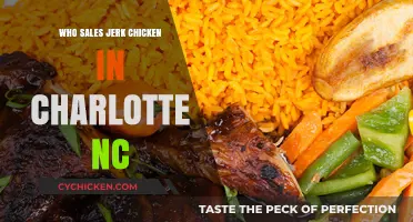 Where to Find the Best Jerk Chicken in Charlotte, NC