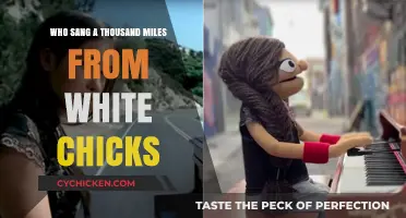 Who Sang 'A Thousand Miles' in White Chicks? Unveiling the Voice