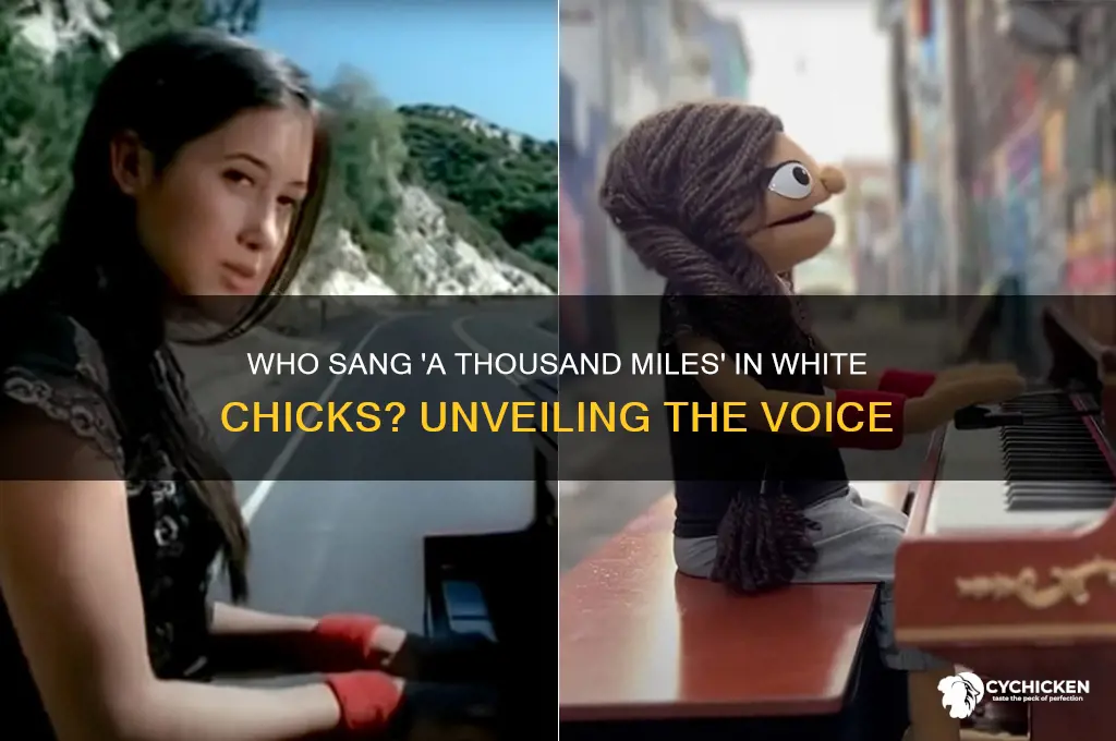 who sang a thousand miles from white chicks
