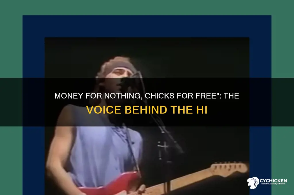 who sang money for nothing chicks for free
