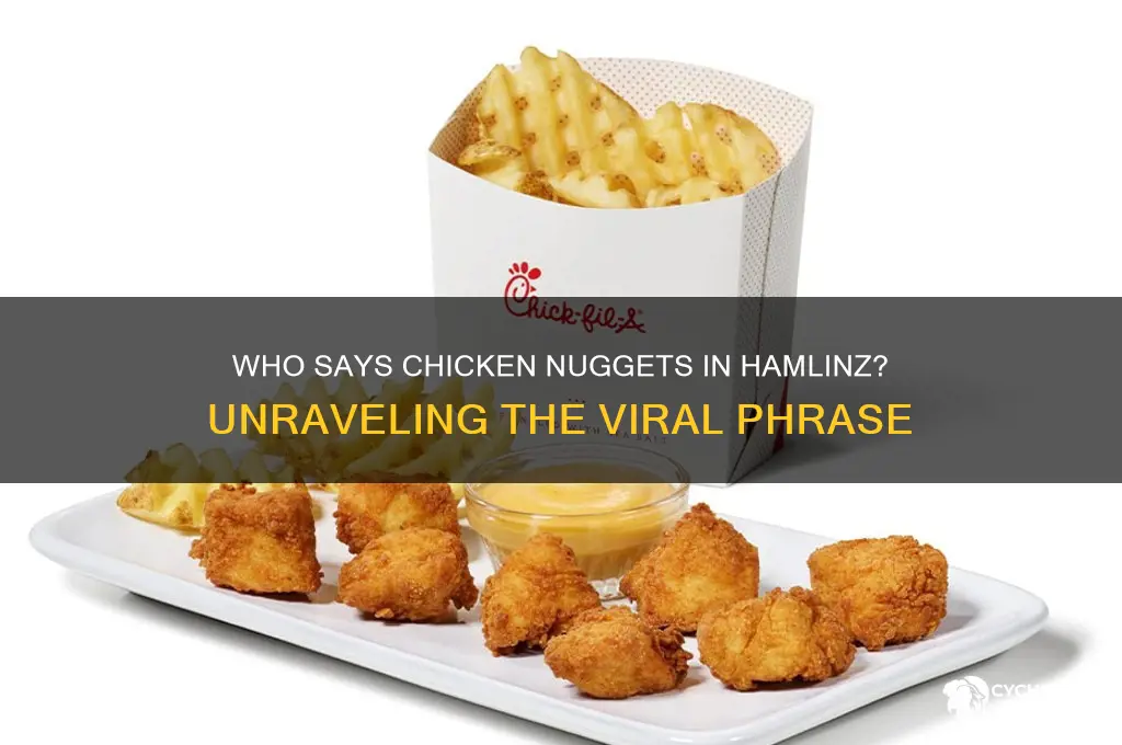who says chicken nuggets in hamlinz