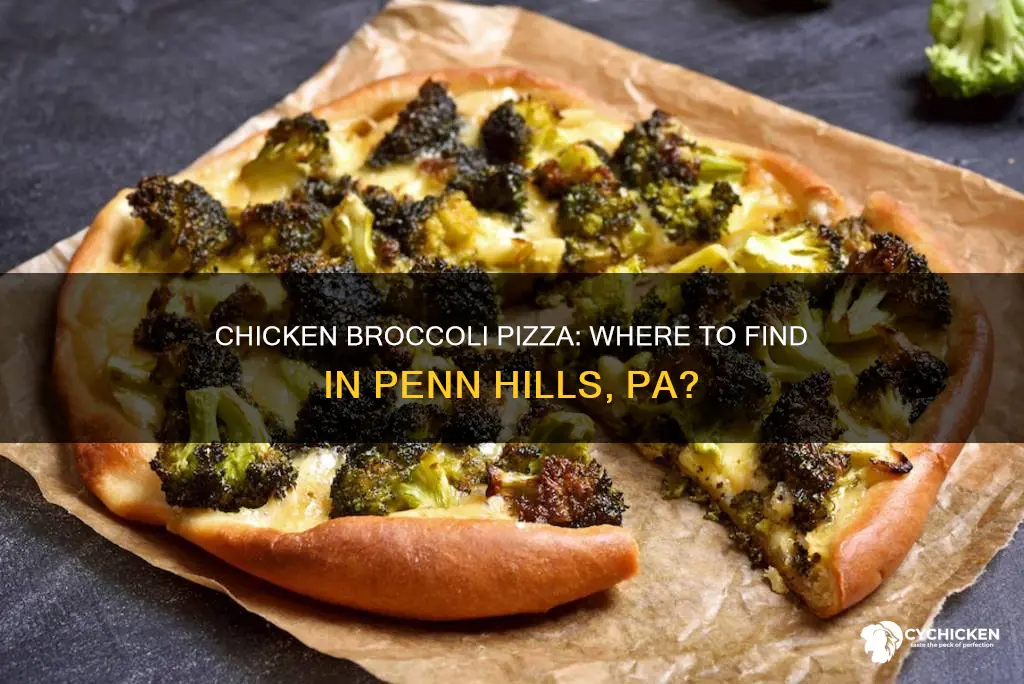 who sells chicken and broccoli pizza in penn hills pa