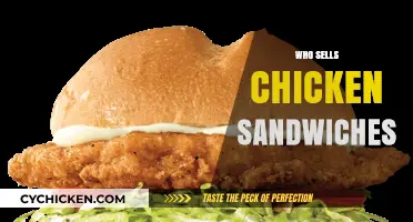 Top Fast-Food Chains Serving the Best Chicken Sandwiches Today