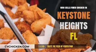 Where to Find Fried Chicken in Keystone Heights, FL: Top Spots