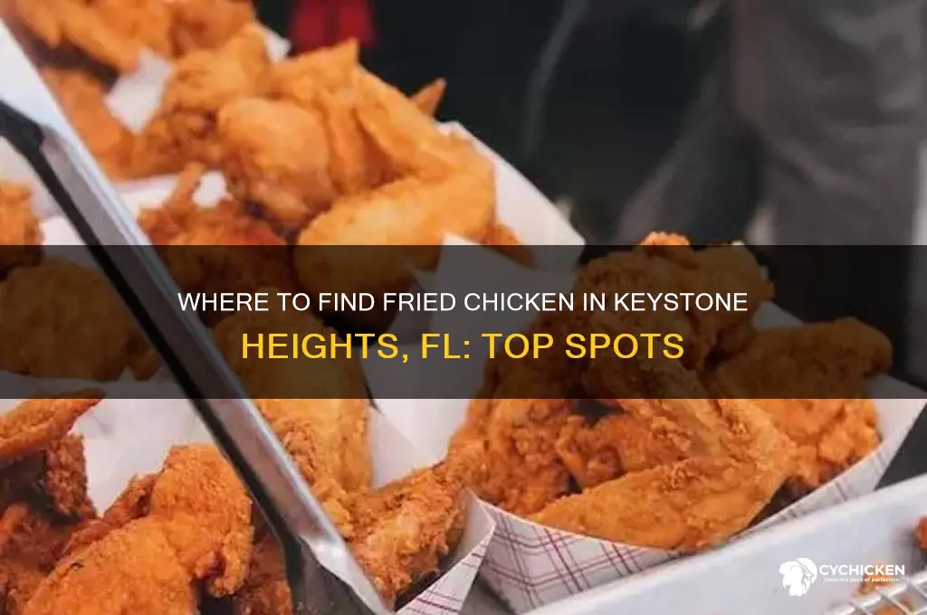 who sells fired chicken in keystone heights fl
