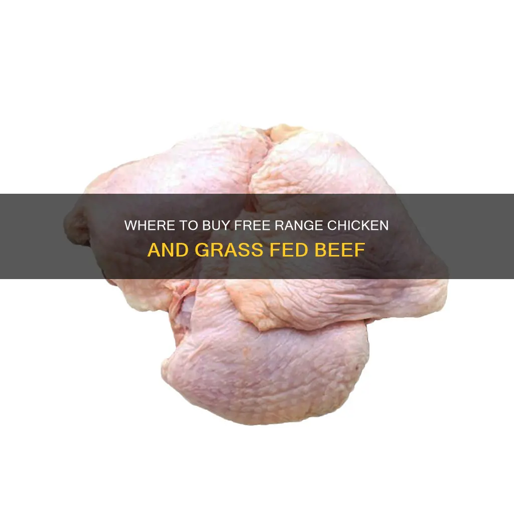 who sells free range chicken and or grass fed beef