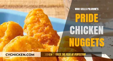 Where to Buy Pilgrim's Pride Chicken Nuggets: Retailers and Stores