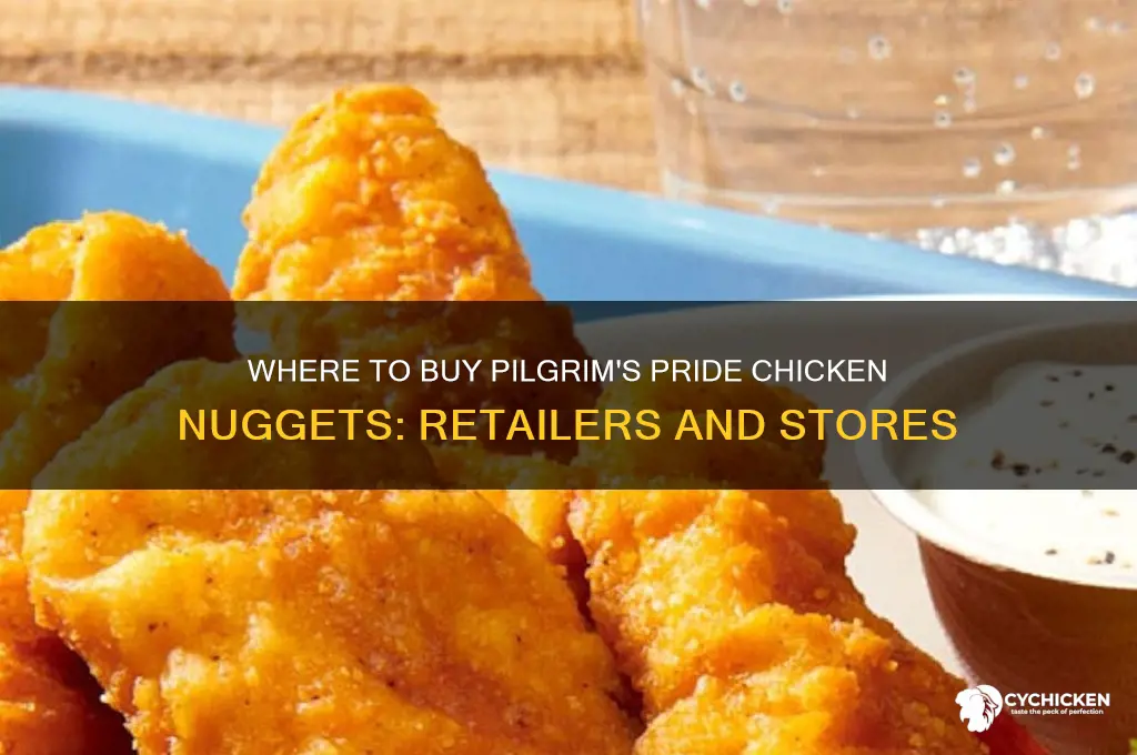 who sells pilgrim