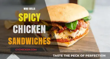 Where to Find the Best Spicy Chicken Sandwiches Near You