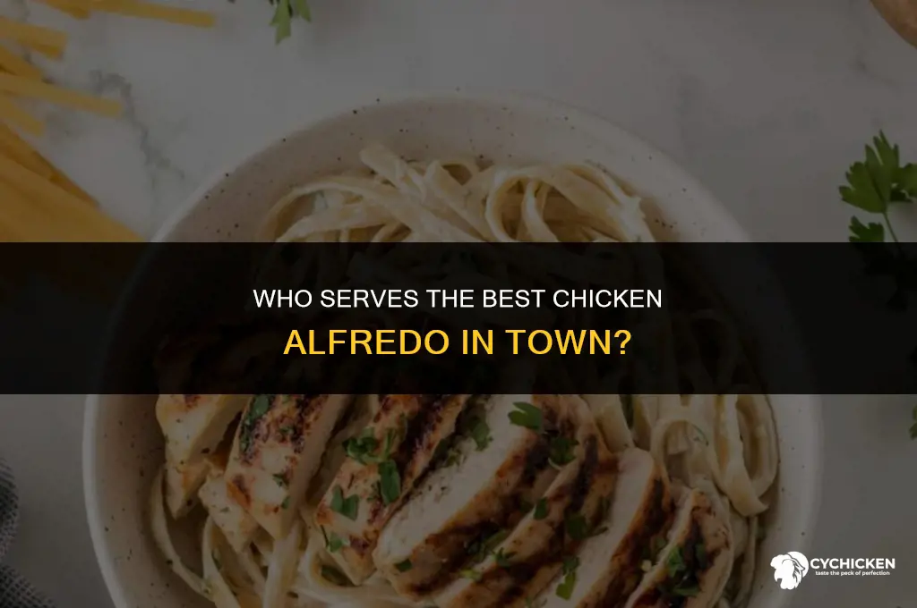 who serves chicken alfredo