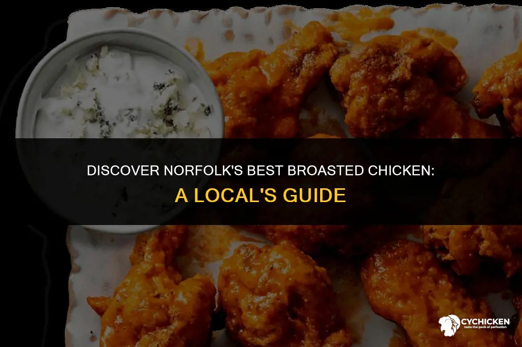 who serves great broasted chicken in norfolk