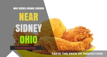Discover the Best Orange Chicken Spots Near Sidney, Ohio