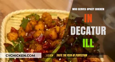 Savor the Heat: Decatur's Best Spots for Spicy Chicken Delights