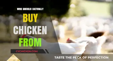 Choosing the Right Chicken Supplier: A Guide to Ethical and Quality Sources