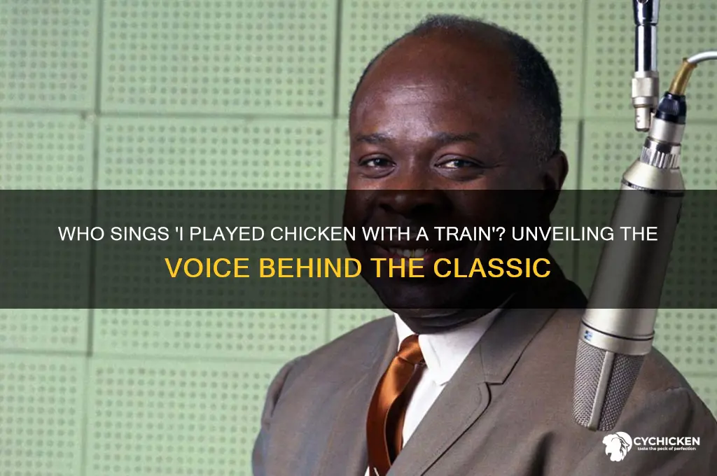 who sings i played chicken with a train