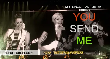 Natalie Maines Sings Lead for Dixie Chicks' "You Send Me