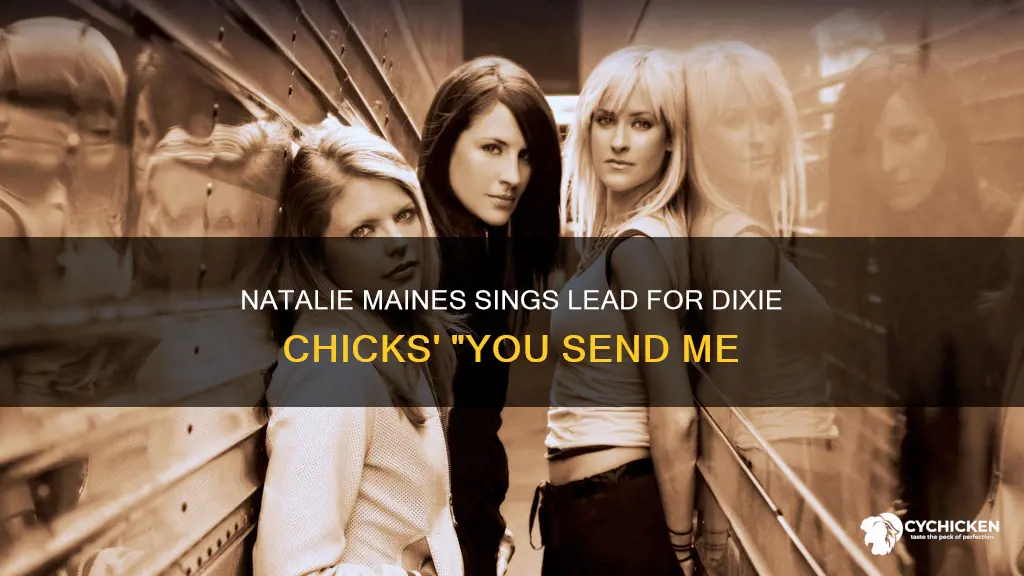 who sings lead for dixie chicks you send me