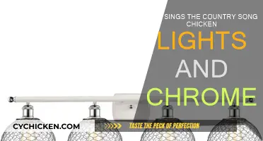 Chicken Lights and Chrome: Who Sings This Country Song?