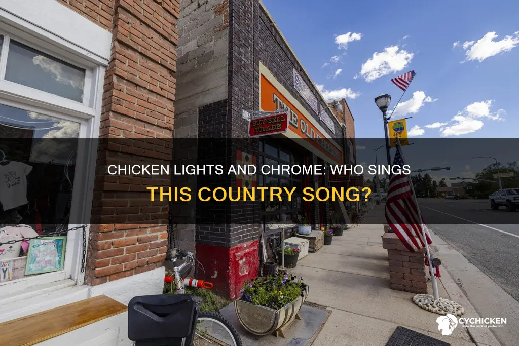 who sings the country song chicken lights and chrome