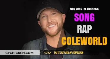 Who Raps the Side Chick Anthem in Cole World?