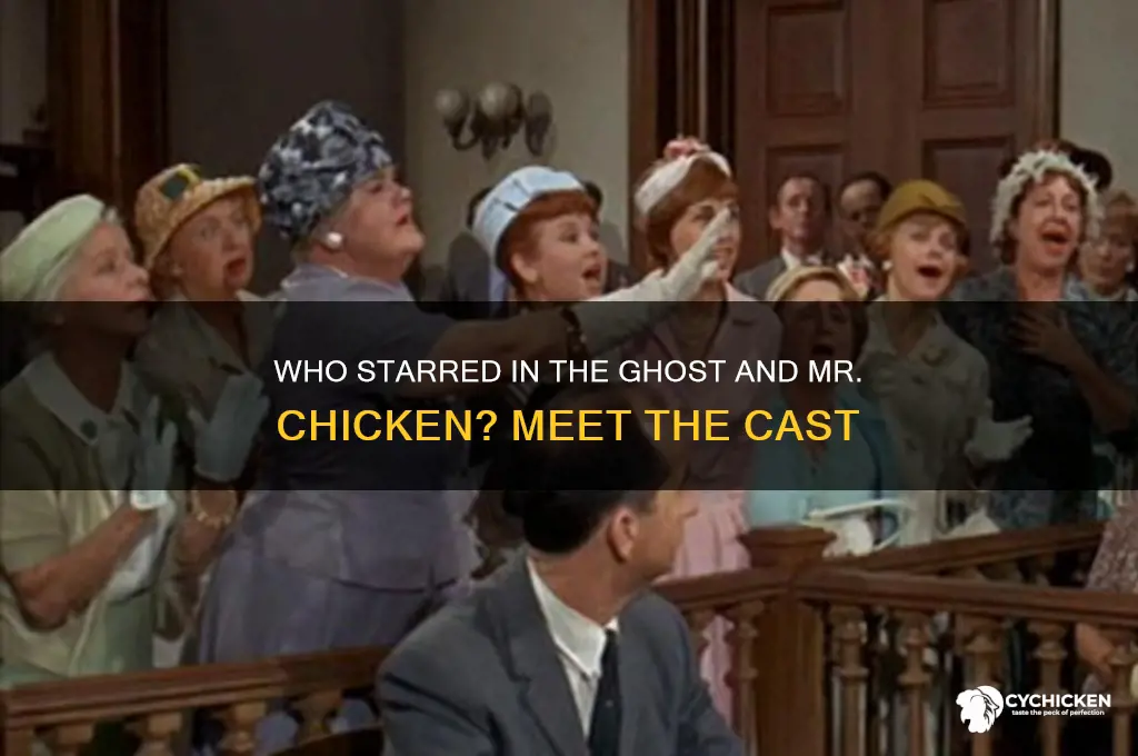 who starred in the ghost and mr chicken