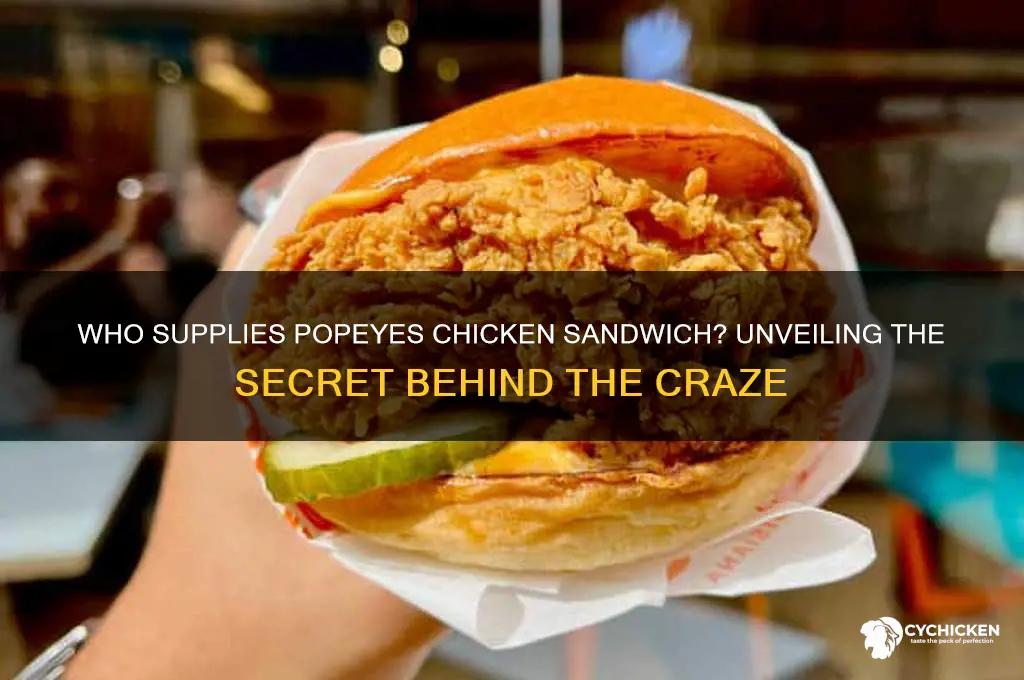who supplies popeyes chicken sandwich