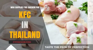 Thailand's KFC Chicken Suppliers: Unveiling the Local Poultry Partners