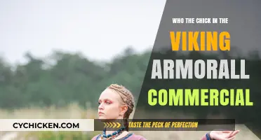 Viking Armor All Commercial Mystery: Who’s the Chick in Armor?