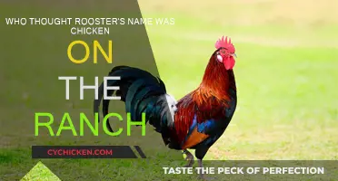 Ranch Life: Roosters, Chickens, and Misnomers