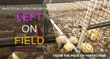 Chicken Manure Mess: Who to Call?