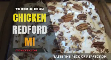 Lost Chicken in Redford, MI? Here’s Who to Contact for Help