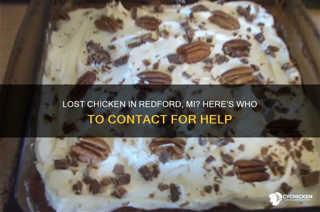 who to contact for lost chicken redford mi