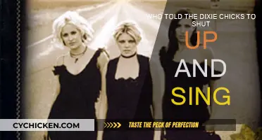 The Dixie Chicks: Shut Up and Sing