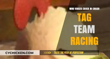 Who Voices Chick in Crash Tag Team Racing? Unveiling the Talent